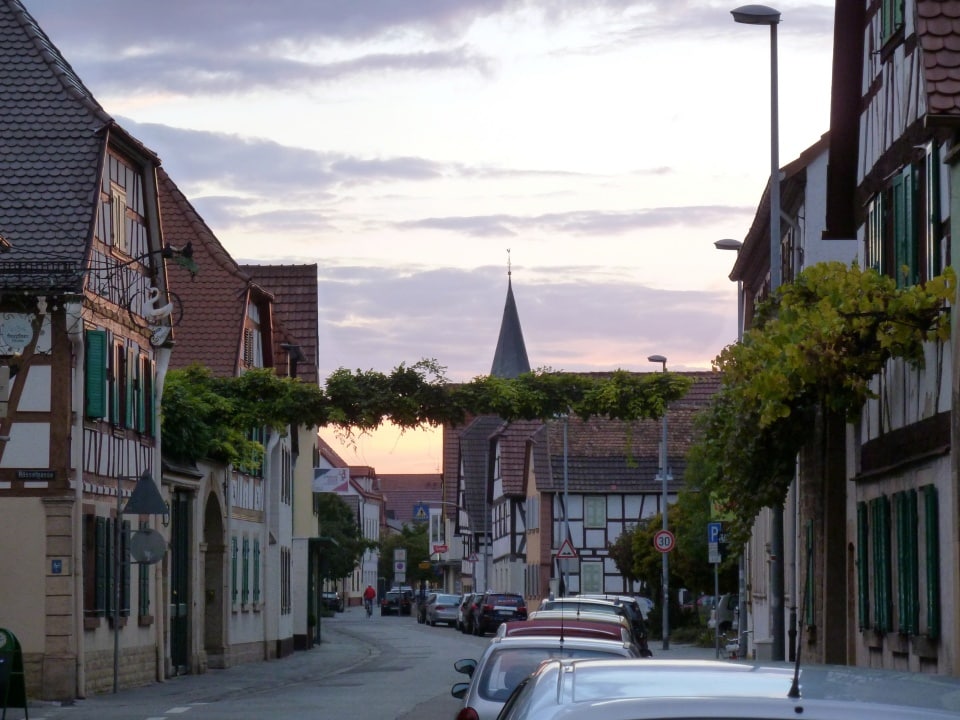 Ihr Dachdecker Wiesendanger in Haßloch.