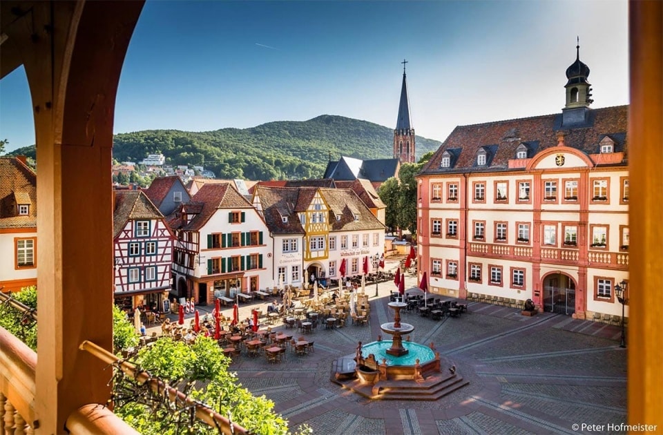 Ihre Zimmerei Wiesendanger in city.